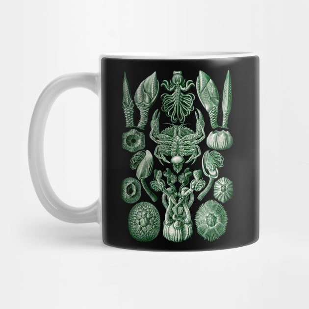 Ernst  Haeckel Cirripedia Crab Green by Scientistudio